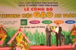 Lãnh đạo Cty Lương thực Tiền Giang đón nhận công nhận thương hiệu gạo an toàn