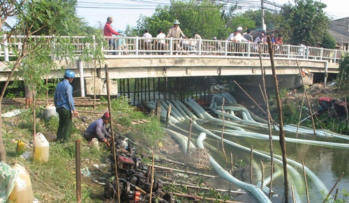 Bơm nước cứu lúa ở Gò Công Đông