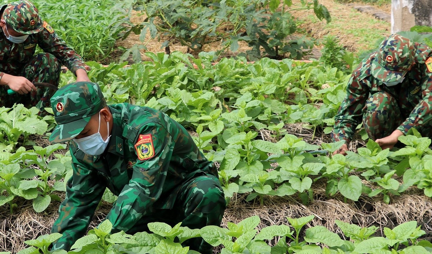 Bộ đội Biên phòng Tiền Giang đảm bảo sức khỏe chiến sĩ trong mùa dịch