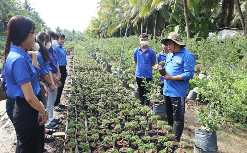 Đoàn viên tham quan mô hình trồng linh sam của anh Lê Tấn Thanh Bình.